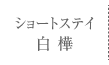 ショートステイ 白樺